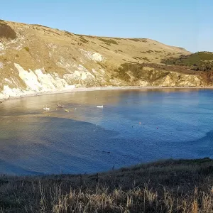 Lulworth Cove Panorama