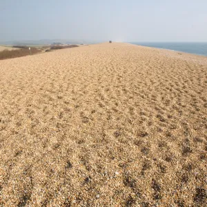 Chesil bank