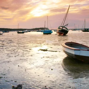 poole boats