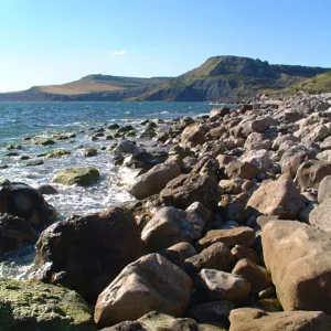 purbeck from aldhelms