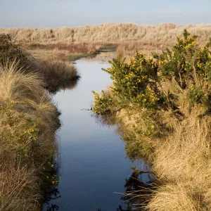 studland creek