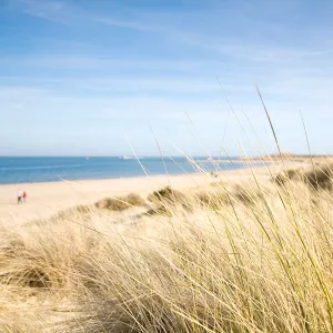 studland shellbay