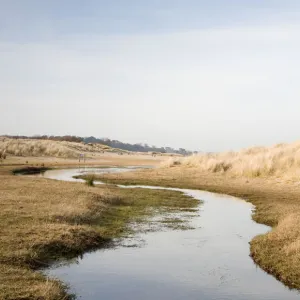 studland stream