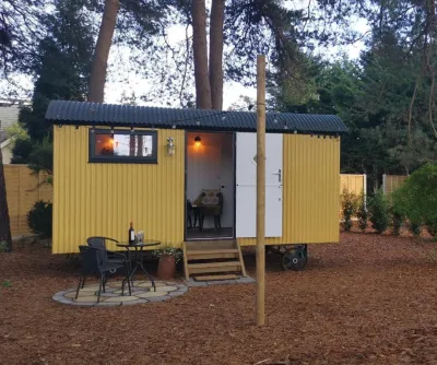 Forest Heath Shepherd's Huts