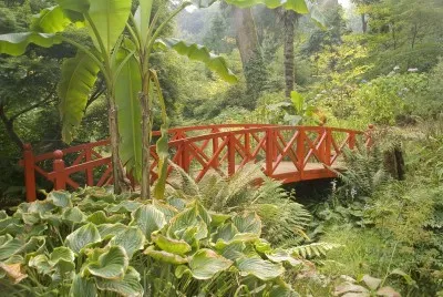 Abbotsbury Subtropical Gardens