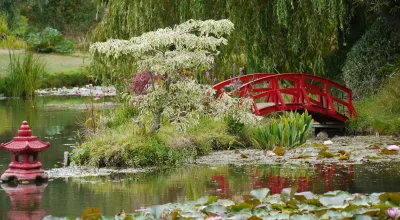 Bennetts Water Gardens