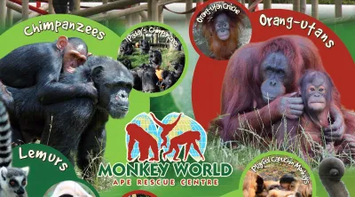 Monkey World - Wareham