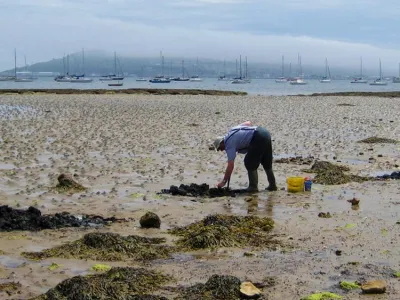 Castle Cove - Portland Harbour