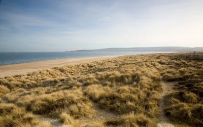 studland grass