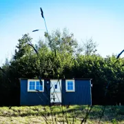 Oak Shepherds Hut