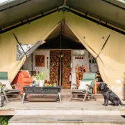 Black Pig Retreats Luxury Glamping