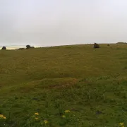 Abbotsbury Castle hillfort