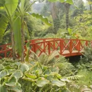 Abbotsbury Subtropical Gardens