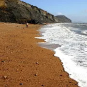 Charmouth beach