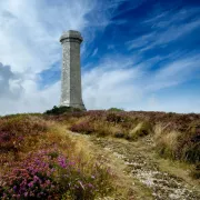 Hardy Monument