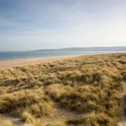 studland grass