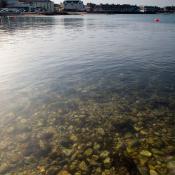 Swanage Bay - Clear Water