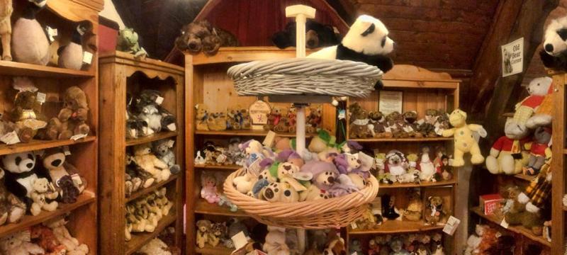 The teddy clearance bear museum